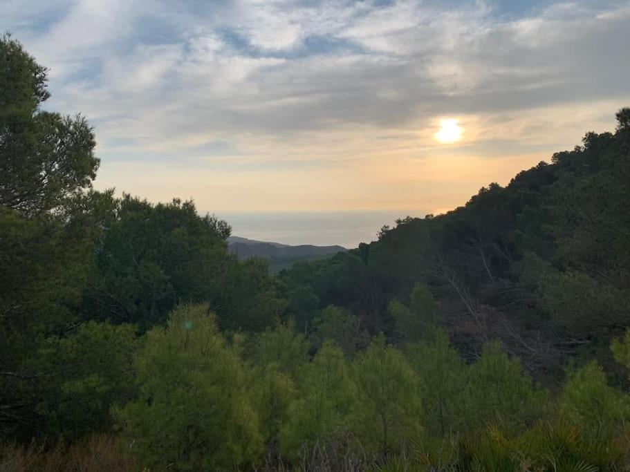 La Casa De Ladrillo, Relax Y Trekking House. Villa Murcia Exteriör bild