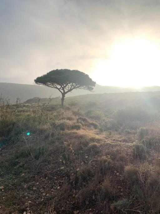 La Casa De Ladrillo, Relax Y Trekking House. Villa Murcia Exteriör bild